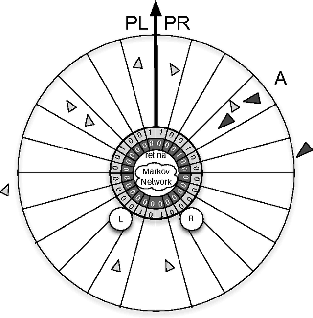 Figure 1 for Exploring the coevolution of predator and prey morphology and behavior