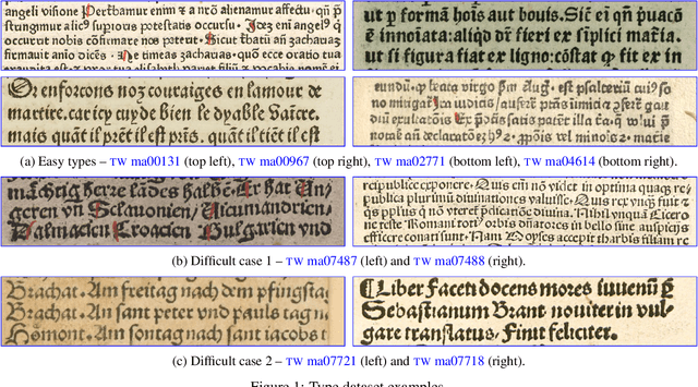 Figure 1 for Proof of Concept: Automatic Type Recognition