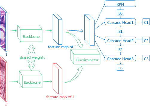 Figure 1 for Domain Adaptive Cascade R-CNN for MItosis DOmain Generalization Challenge