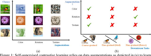 Figure 1 for What Should Not Be Contrastive in Contrastive Learning