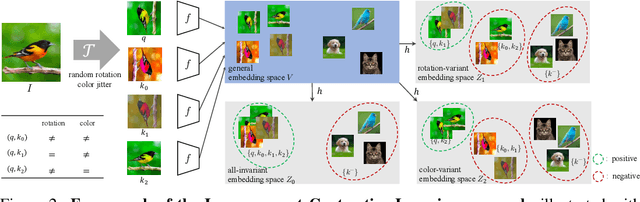 Figure 3 for What Should Not Be Contrastive in Contrastive Learning