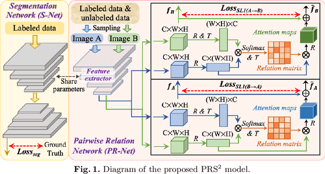 Figure 1 for Pairwise Relation Learning for Semi-supervised Gland Segmentation