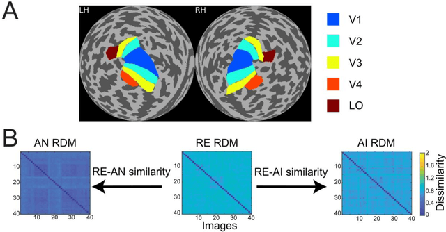 Figure 2 for Dissociable neural representations of adversarially perturbed images in deep neural networks and the human brain