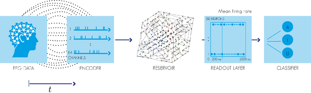 Figure 1 for Classification of auditory stimuli from EEG signals with a regulated recurrent neural network reservoir