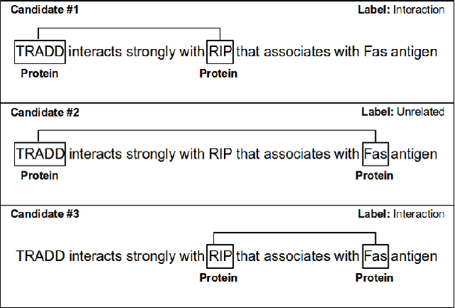 Figure 3 for A Labeled Graph Kernel for Relationship Extraction