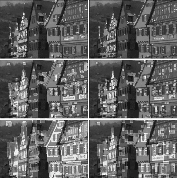 Figure 4 for Statistical Multiresolution Estimation for Variational Imaging: With an Application in Poisson-Biophotonics