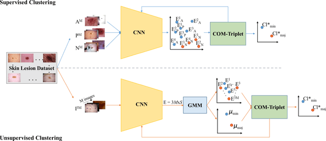Figure 2 for Deep Clustering via Center-Oriented Margin Free-Triplet Loss for Skin Lesion Detection in Highly Imbalanced Datasets
