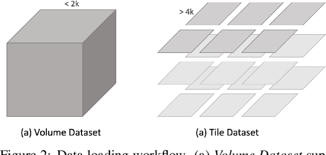 Figure 3 for PyTorch Connectomics: A Scalable and Flexible Segmentation Framework for EM Connectomics