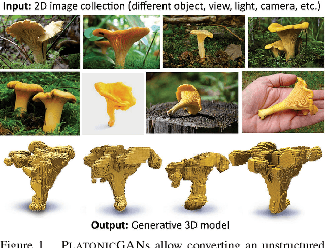 Figure 1 for Escaping Plato's Cave using Adversarial Training: 3D Shape From Unstructured 2D Image Collections