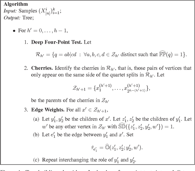 Figure 1 for Robust estimation of latent tree graphical models: Inferring hidden states with inexact parameters