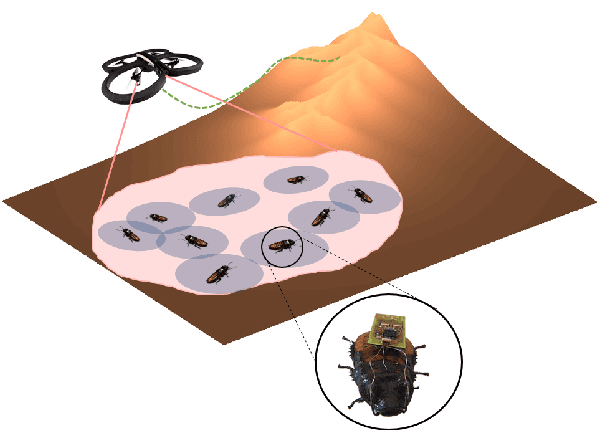 Figure 1 for Dynamic Topological Mapping with Biobotic Swarms