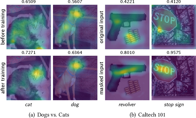 Figure 4 for Right for the Right Reason: Making Image Classification Robust