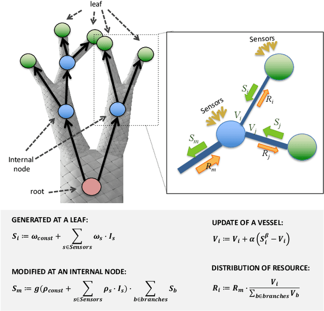 Figure 1 for Artificial Plants - Vascular Morphogenesis Controller-guided growth of braided structures