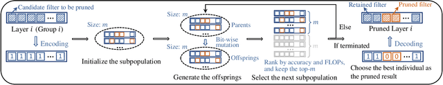 Figure 3 for Neural Network Pruning by Cooperative Coevolution