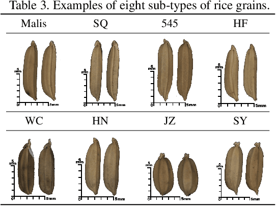 Figure 4 for GrainSpace: A Large-scale Dataset for Fine-grained and Domain-adaptive Recognition of Cereal Grains