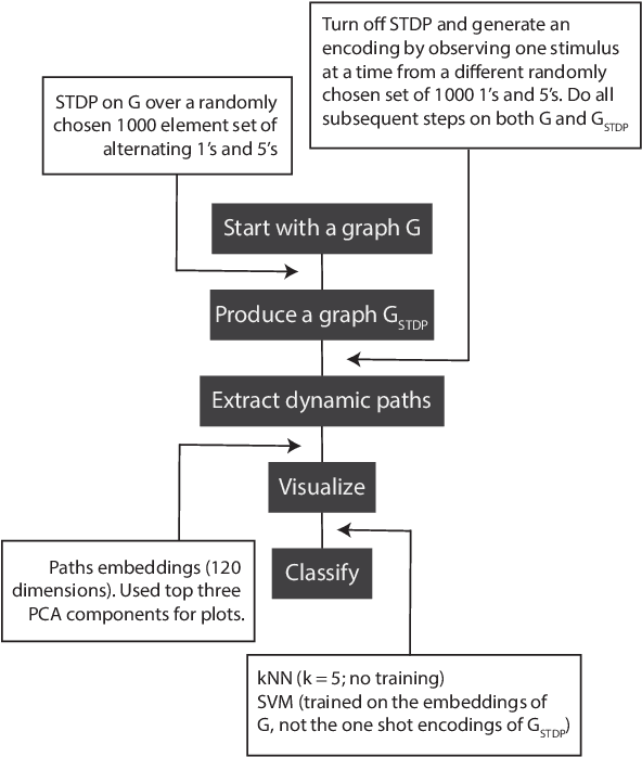 Figure 2 for Learning without gradient descent encoded by the dynamics of a neurobiological model
