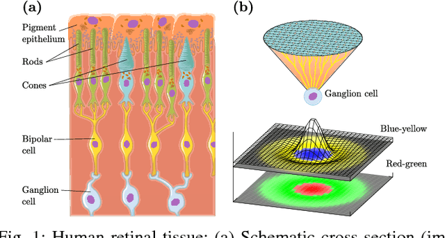 Figure 1 for Exploring Human Vision Driven Features for Pedestrian Detection