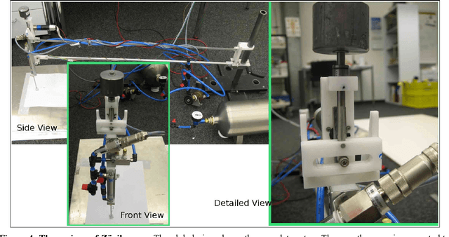 Figure 4 for SNF Project Locomotion: Progress report 2008-2009