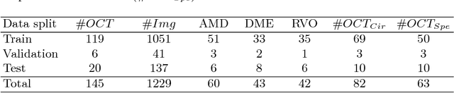 Figure 1 for Fully Automated Segmentation of Hyperreflective Foci in Optical Coherence Tomography Images