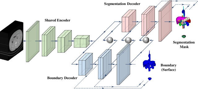 Figure 3 for Boundary-Aware Network for Abdominal Multi-Organ Segmentation