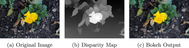 Figure 1 for Bokeh-Loss GAN: Multi-Stage Adversarial Training for Realistic Edge-Aware Bokeh
