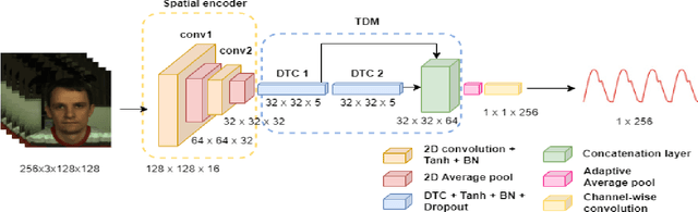Figure 1 for Efficient Remote Photoplethysmography with Temporal Derivative Modules and Time-Shift Invariant Loss