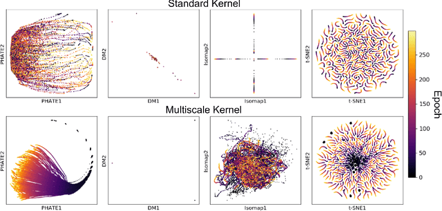 Figure 3 for Visualizing the PHATE of Neural Networks