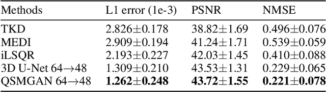 Figure 4 for QSMGAN: Improved Quantitative Susceptibility Mapping using 3D Generative Adversarial Networks with Increased Receptive Field