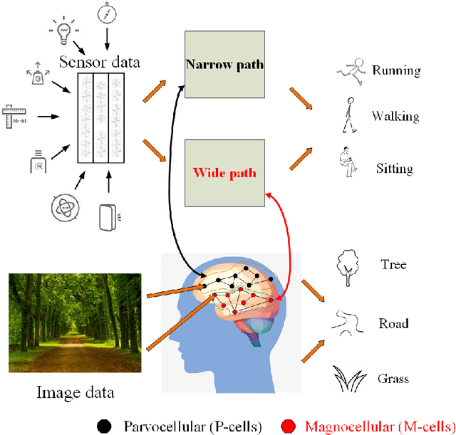 Figure 1 for Dual Residual Network for Accurate Human Activity Recognition