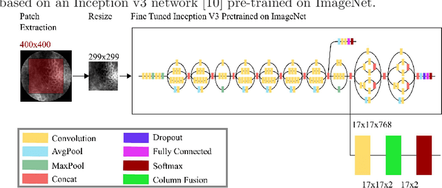 Figure 2 for Motion Artifact Detection in Confocal Laser Endomicroscopy Images