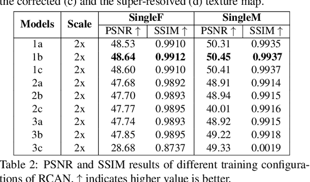 Figure 3 for Super-Resolution Appearance Transfer for 4D Human Performances