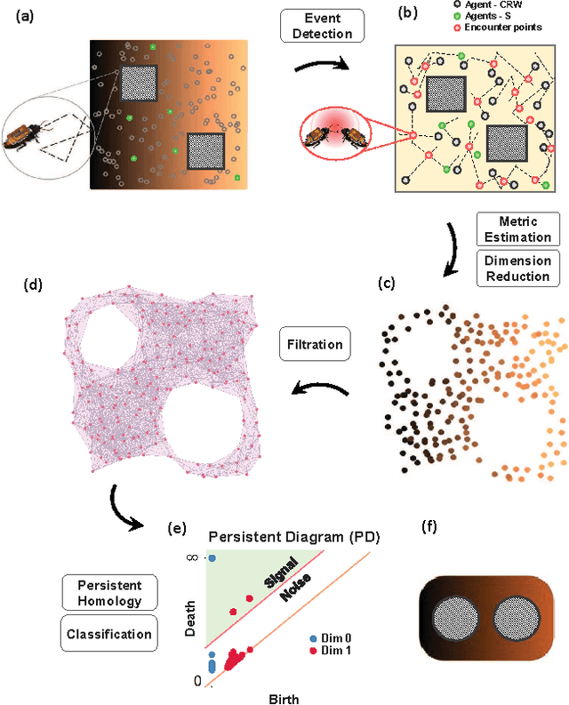 Figure 3 for Geometric Learning and Topological Inference with Biobotic Networks: Convergence Analysis