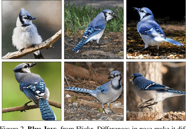 Figure 3 for Fair Comparison: Quantifying Variance in Resultsfor Fine-grained Visual Categorization