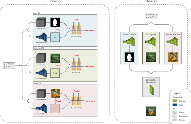 Figure 1 for SKDCGN: Source-free Knowledge Distillation of Counterfactual Generative Networks using cGANs