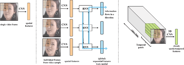 Figure 1 for Spatio-temporal Features for Generalized Detection of Deepfake Videos