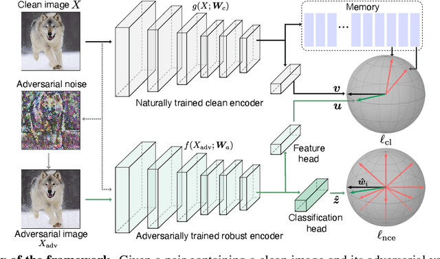 Figure 3 for THAT: Two Head Adversarial Training for Improving Robustness at Scale