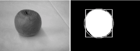 Figure 4 for Online Vision- and Action-Based Object Classification Using Both Symbolic and Subsymbolic Knowledge Representations