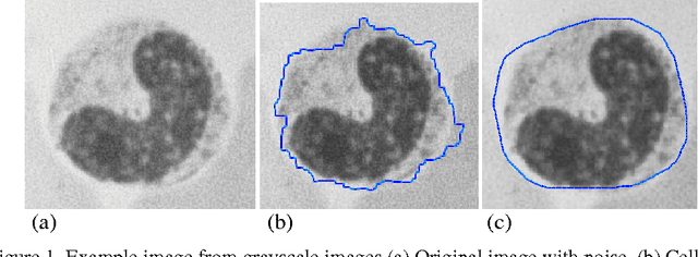 Figure 1 for A Novel Image Segmentation Enhancement Technique based on Active Contour and Topological Alignments
