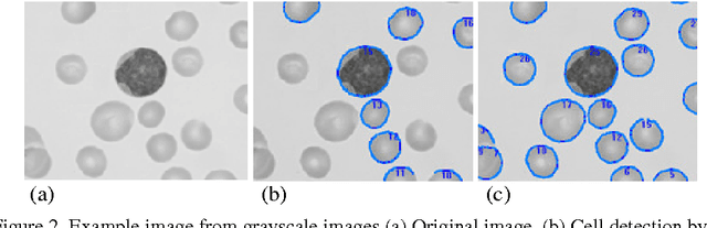 Figure 2 for A Novel Image Segmentation Enhancement Technique based on Active Contour and Topological Alignments