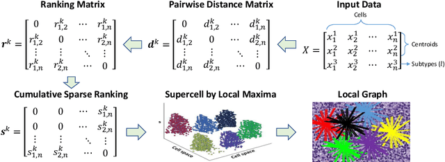 Figure 3 for Hierarchical Phenotyping and Graph Modeling of Spatial Architecture in Lymphoid Neoplasms