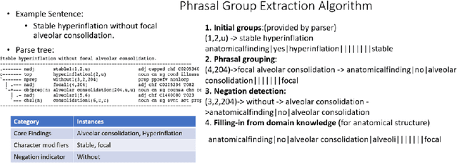Figure 3 for Chest X-ray Report Generation through Fine-Grained Label Learning