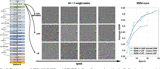Figure 2 for Rethinking Pretraining as a Bridge from ANNs to SNNs