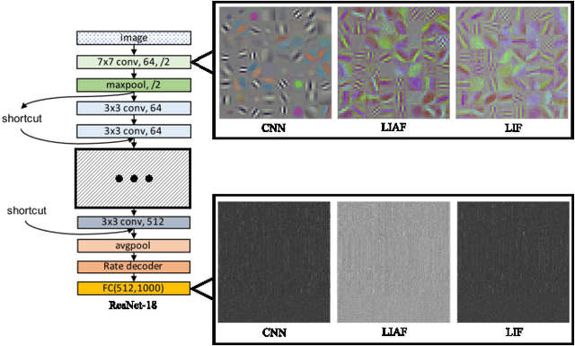 Figure 3 for Rethinking Pretraining as a Bridge from ANNs to SNNs