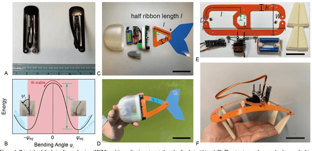 Figure 1 for Fast Untethered Soft Robotic Crawler with Elastic Instability