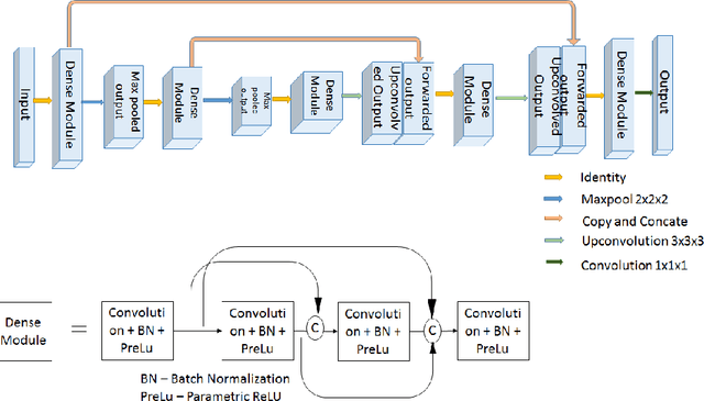 Figure 1 for 3D Semantic Segmentation of Brain Tumor for Overall Survival Prediction