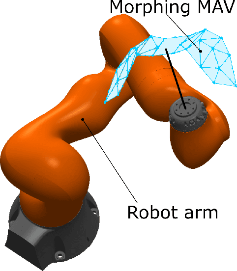 Figure 1 for Efficient Modeling of Morphing Wing Flight Using Neural Networks and Cubature Rules