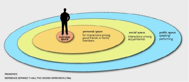 Figure 3 for The Visual Social Distancing Problem