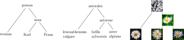 Figure 1 for Towards Visual Semantics