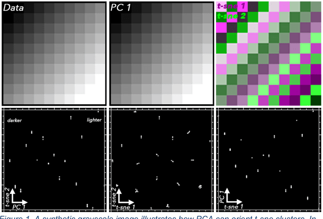 Figure 1 for Joint Characterization of Multiscale Information in High Dimensional Data
