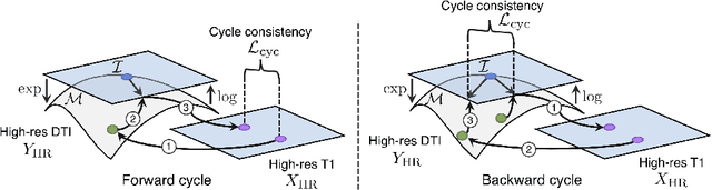 Figure 3 for Manifold-Aware CycleGAN for High Resolution Structural-to-DTI Synthesis